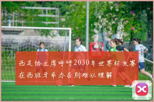 西足协主席呼吁2030年世界杯决赛在西班牙举办否则难以理解